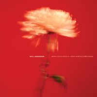 Will Anderson - How Little Love Is/How Worth Everything