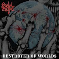 Social Decline - Destroyer of Worlds