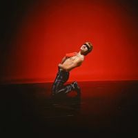 Michael Medrano - ANIMAL