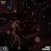 Distorted Vortex - FAKE FRIENDS