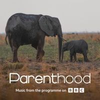 Sam Ryder - Go Steady (From BBC&rsquo;s Parenthood)