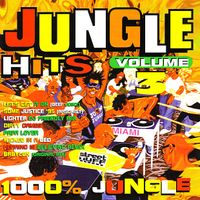 Various Artists - Jungle Hits, Volume 3