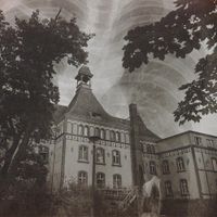 Old Man Of The Woods - Tendrils