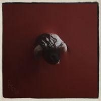 Etta Marcus - Devour