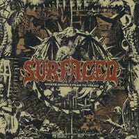 Surfaced - Where Angels Fear To Tread