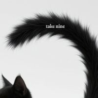 icemop - take nine
