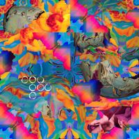 Bodhi - Okinobi