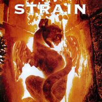 Strain - Here and Now