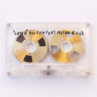 Big Fish - Lato B