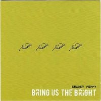 Snarky Puppy - Bring Us The Bright