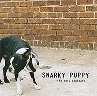 Snarky Puppy - The Only Constant