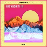 Birdee - Then Came the Sun