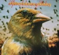Rollerskate Skinny - Speed to My Side