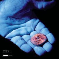 Coldplay - The Blue Room