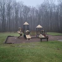 Your Only Friends - Why To Save the World