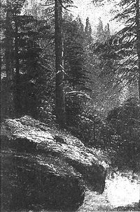 Til Det Bergens Skyggene - Renhet
