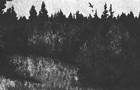 Til Det Bergens Skyggene - Vandringen I (Skoglandskap)