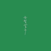 김사월 [Kim Sawol] - Silver Apricot (Original Soundtrack)