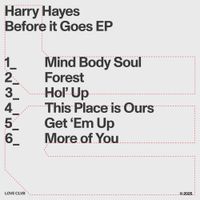 Harry Hayes - Before It Goes