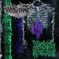 Redundant Protoplasm - Hallucination Realized / Redundant Protoplasm Split