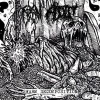 RAW ADDICT - Swarm Decomposition