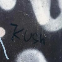 OG-Kush - Betting Shop