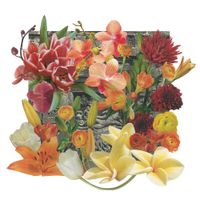 Mike Baggetta & Jim Keltner & Mike Watt - Wall of Flowers