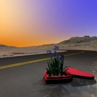 desert sand feels warm at night - Vjaġġ Tal-Qalb [Journey of the Heart]