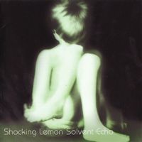 Shocking Lemon - Solvent Echo