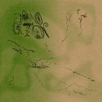 Aponogeton - A Place of Solace