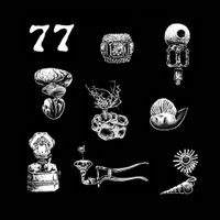 Hypnobirds - 77: A Brief Landing on the Earth's Surface