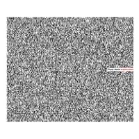 Ryoji Ikeda - Supercodex