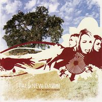 Pale New Dawn - War Against Summer