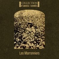 Collection D'Arnell-Andrea - Les Marronniers