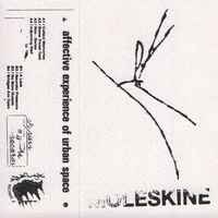 Moleskine - Affective Experience Of Urban Space