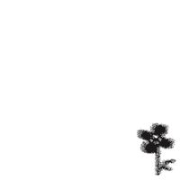 Youth Lagoon - The Harvest