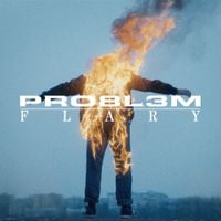 PRO8L3M - Flary