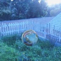 The Fruit Trees - An Opening