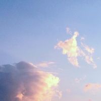 Fuvk - Golden Girl