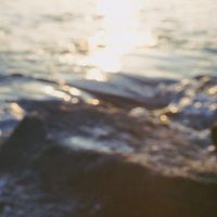sigh - out focus