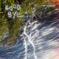 Flawed Mangoes - Goodbye