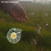 Flawed Mangoes - No Motivation