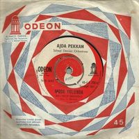 Ajda Pekkan - Moda Yolunda / Serseri
