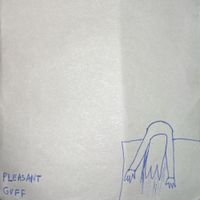 SHITNOISE - Pleasant Guff