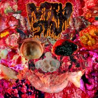 Putrid Stu - Fallopian Tomb