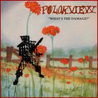 Polarview - What&rsquo;s The Damage?