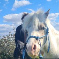 guy_banani_ - salame files