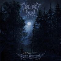 Wounded Soul - Lost In Uncertainty