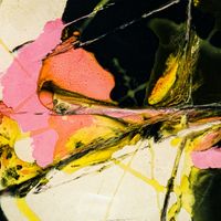 Jensen Interceptor - Interception