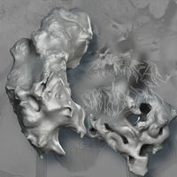 &AElig;thereal Arthropod - Opilio